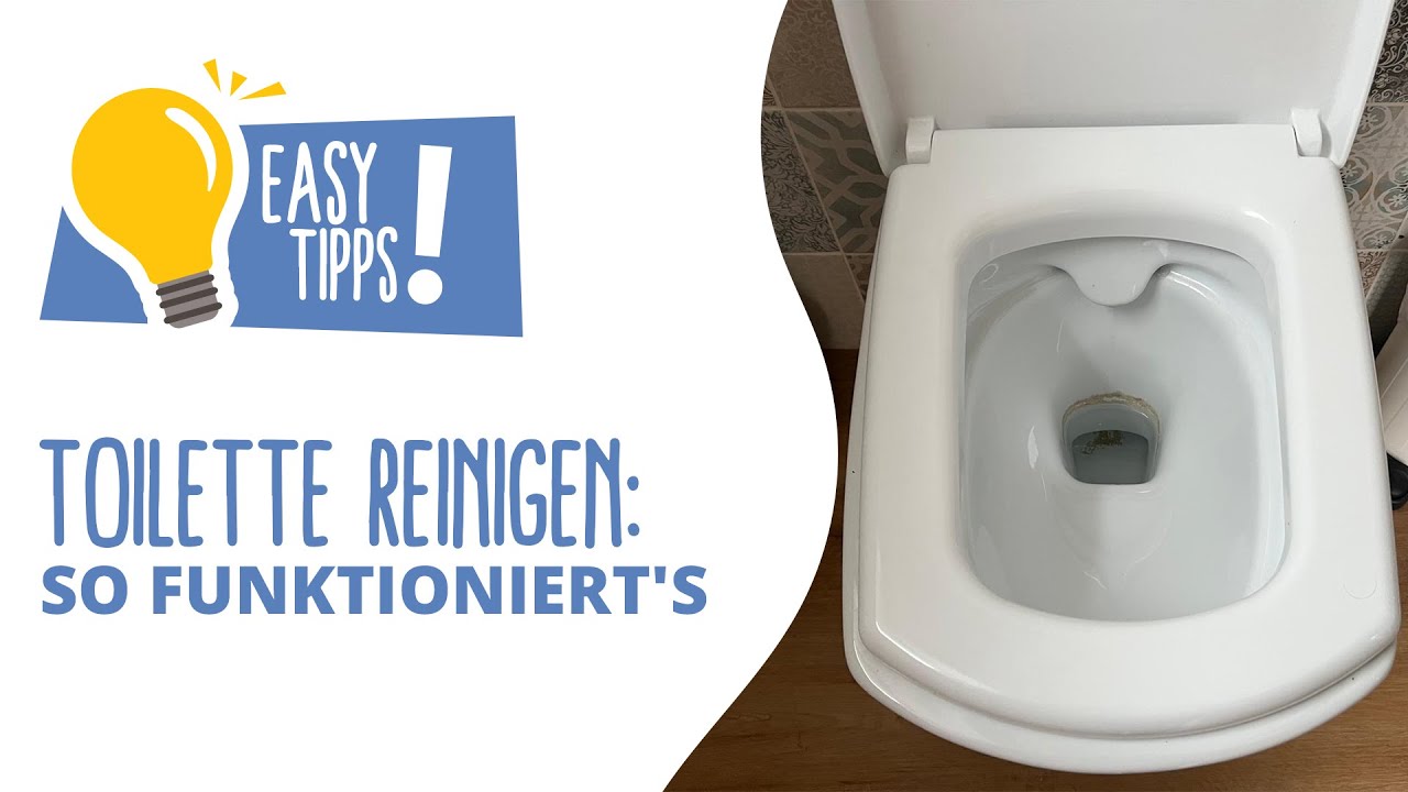 Urinstein Toilette richtig reinigen – so wird selbst hartnäckiger Urinstein ...