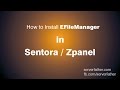How To Install ELFileManager in Free Sentora Web Hosting Control Panel