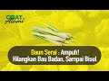 Obat alami ampuh untuk menghilangkan bau badan sampai meningkatkan imunl  hidup sehat tvone