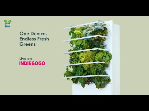 HydroArtPod - One Device. Endless Fresh Greens