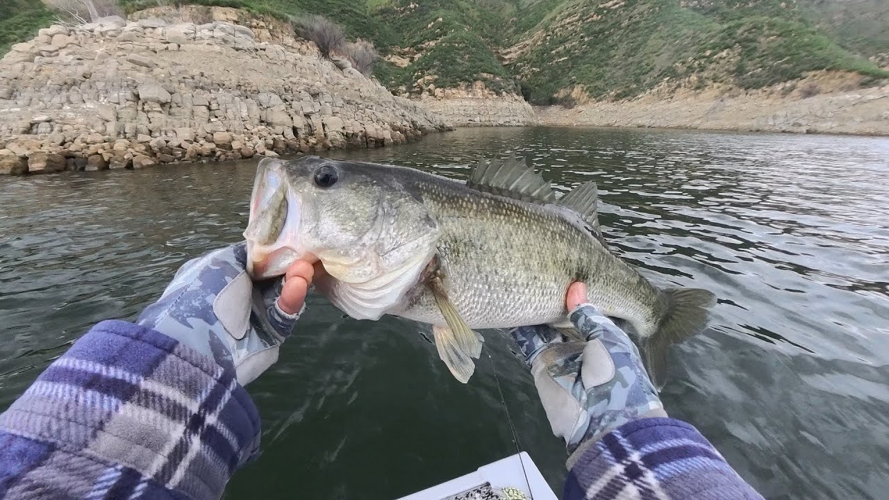 Castaic Lake Bass Fishing