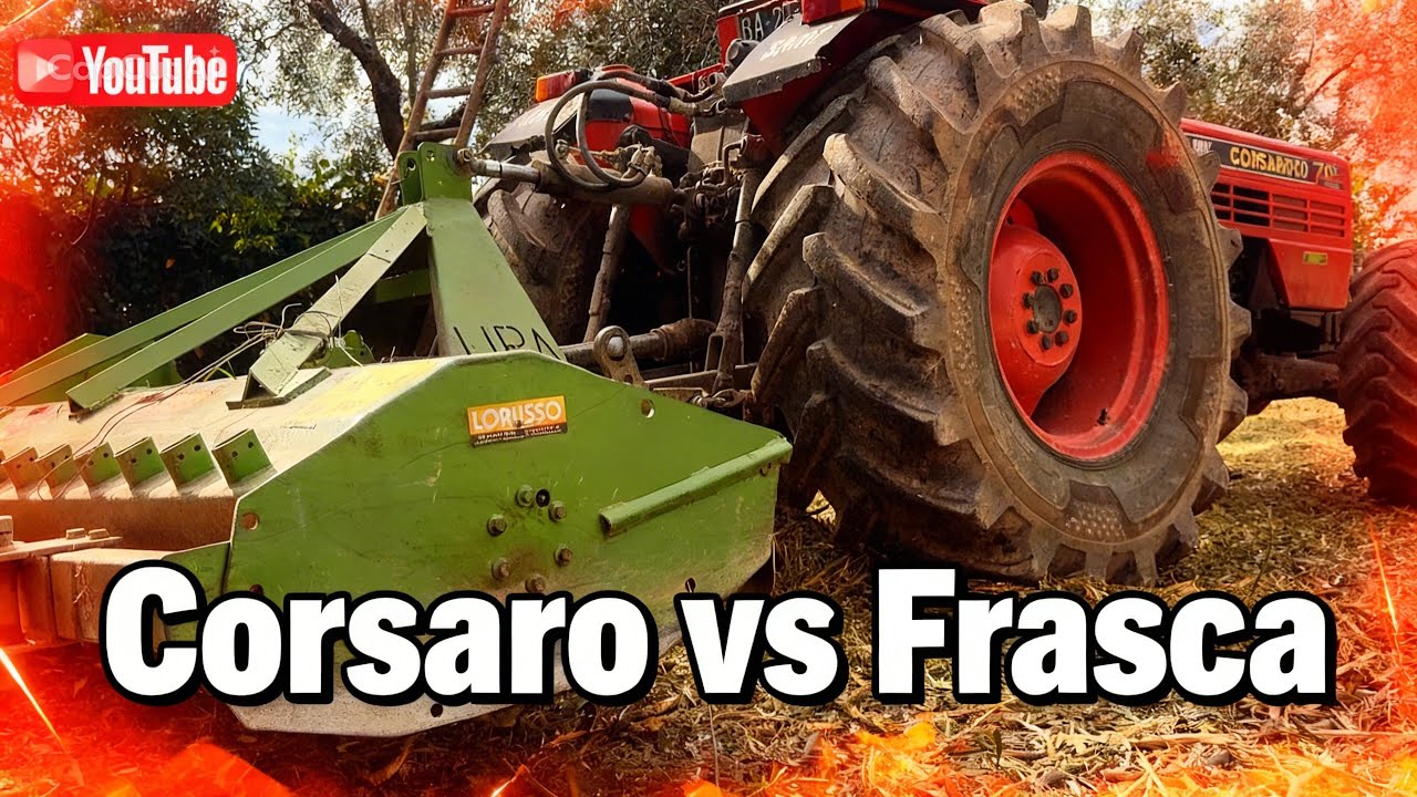 SAME Corsaro 70 vs Frasche: Trinciatura residui di potatura ulivo 🚜🌿
