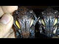 Neca predator 100th figure edition release/ Reissue alpha predator comparison and thoughts on it