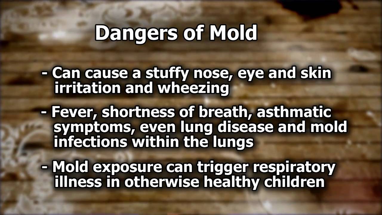 Healthy Home, Home Hazards: Mold