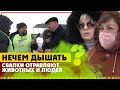 Полигон Тимохово - самая большая свалка в Европе! Вода отравлена! Погибли все птицы?Экорейд