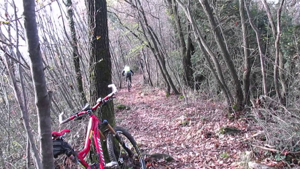 Full suspended on test