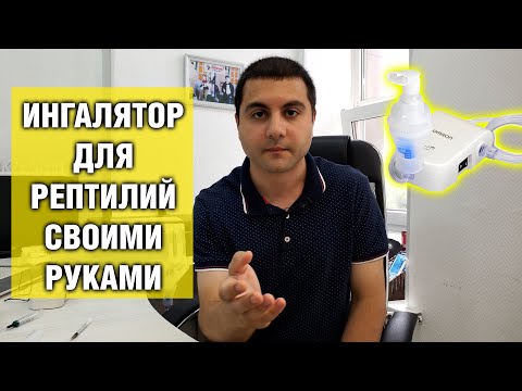Лечение рептилий от пневмонии — Как вылечить змею от пневмонии с помощью ингаляции