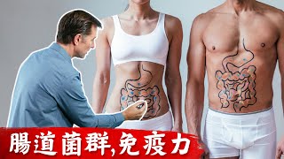 腸道菌群與免疫系統, 柏格醫生 Dr Berg