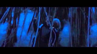 The Hunger Games Catching Fire - Death Order