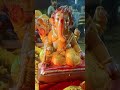 #ganeshvisarjan #ganesh #ganeshchaturthi #explore #viralshorts #ratlam #reelindia #reelinstagram