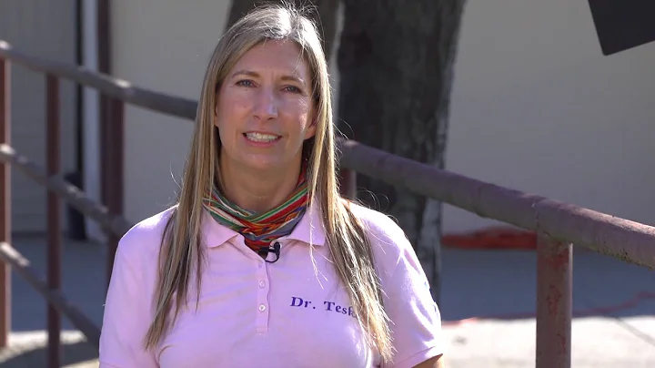 APEMC Vet Tip: Dr. Lisa Teske & Acupuncture