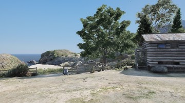 GTA 5 - Enhanced Graphics Mod With Add On Forest And White Streetlights On RTX2060