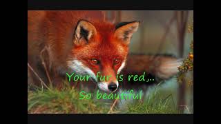 Ylvis - The Fox (what does the fox say?) Lyrics