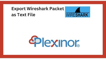 Export Wireshark packet as Text file