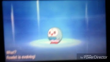 Pokemon sun and moon - Evolving Shiny Rowlet to Shiny Dartrix to Shiny Decidueye