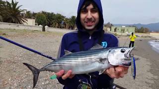 Xzoga Mas Shore Jigging