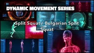 USG Dynamic Movement Series - Split Squat / Bulgarian Split Squat