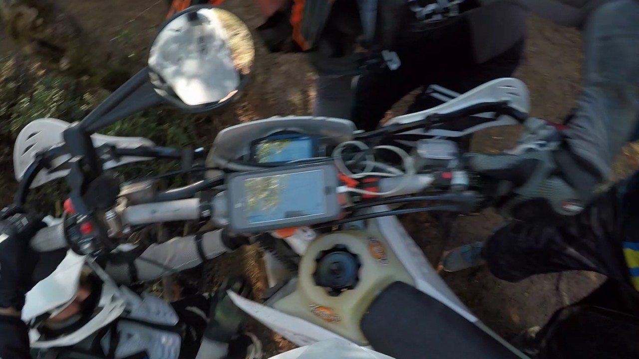 Trail Therapy - P&C 300