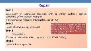 2023 CPT CODING FOR SURGERY RESPIRATORY SYSTEM   PART 1