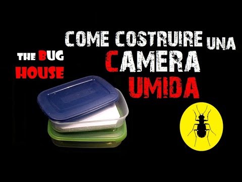 Come costruire una camera umida youtube Camera umida cosa fare