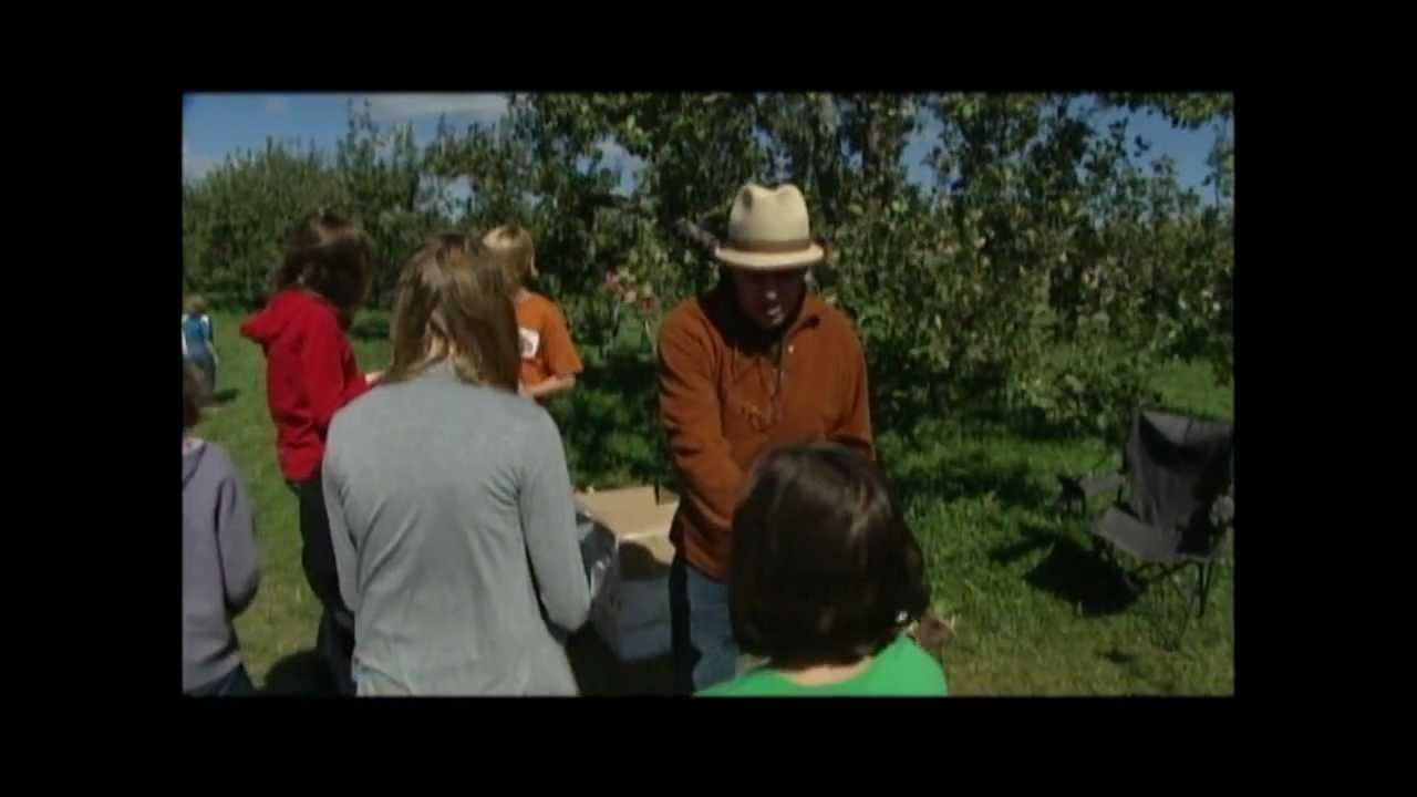 The Mountain Orchard Show