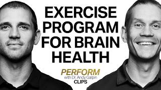 Best Exercise Program For Brain Health & Longevity Dr. Tommy Wood & Dr. Andy Galpin