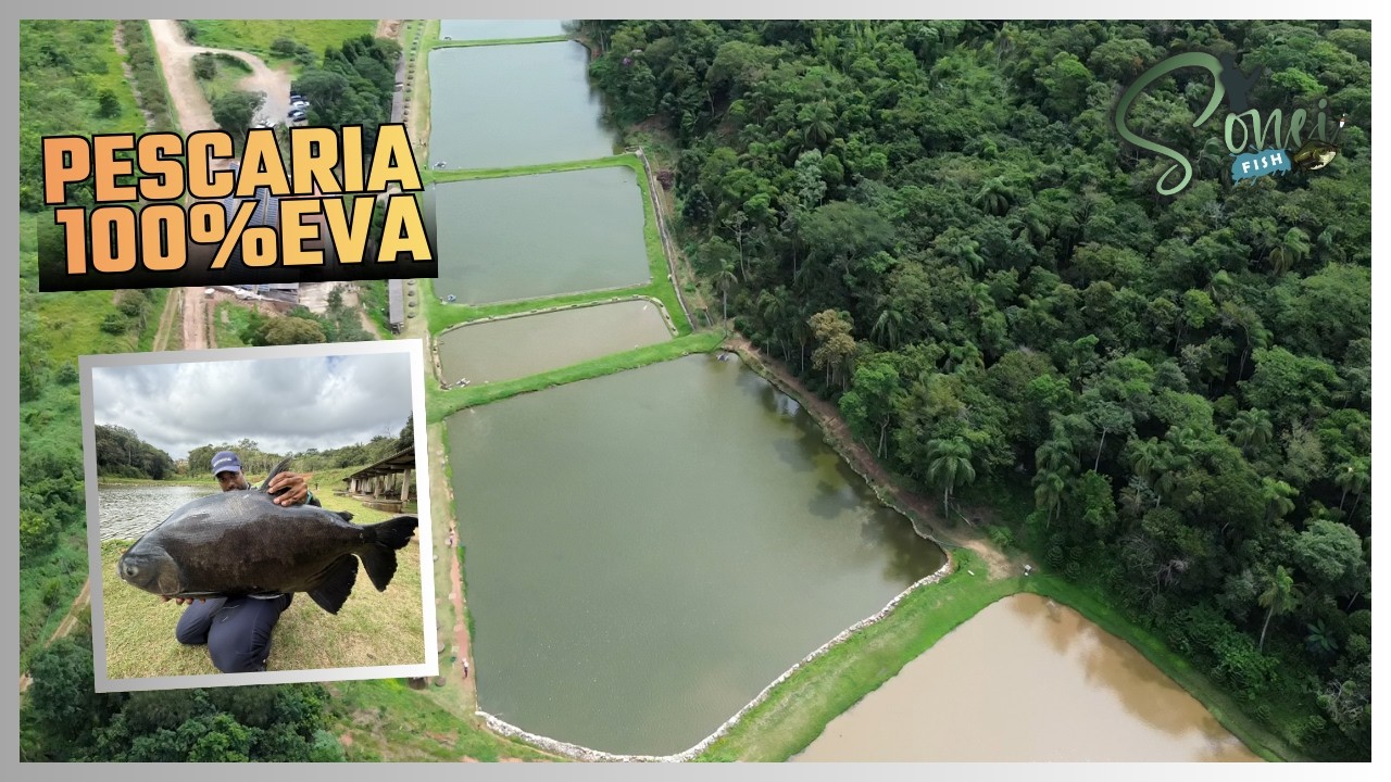 PESQUEIRO ITAPECERICA | Fui conhecer um pesqueiro perto de casa e fiquei surpreso