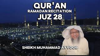 Juz 28 Sheikh Muhammad Ayyoob an ELEGANT Qur'an Recitation #quran #makkah #islam #ramadan