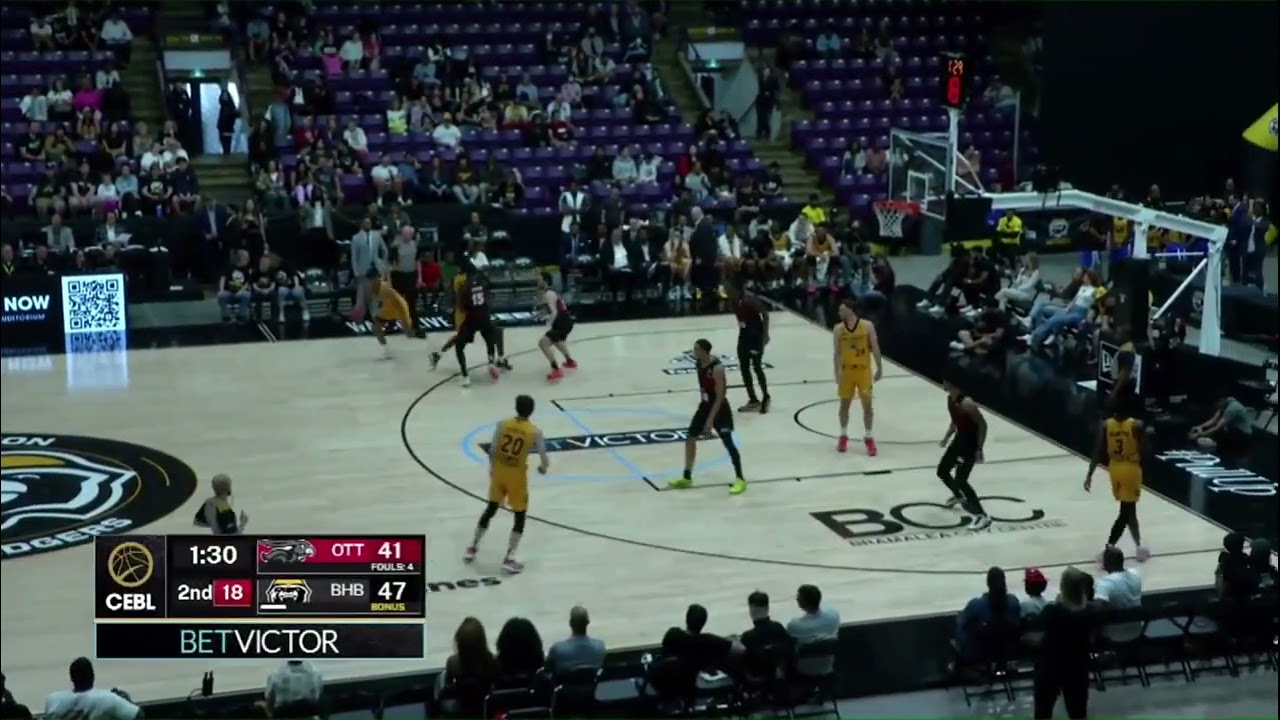 Brampton Honey Badgers - Offense (2024)