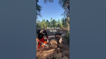 Stock vs Ported - Stihl MS462 Chainsaw