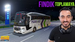 Fındık Toplamaya Giresun'a Gidiyoruz !!! Otobüs Simulator Ultimate