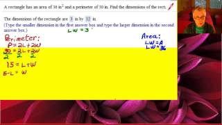 Celebrity Non-Linear Systems Word Problem 2 - captioned Net Worth