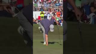 Celebrity Fitzpatrick🐦for Valspar win🏆! Net Worth