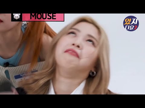 [ITZY]떳다 있지(부제:평화로운 있지네3)