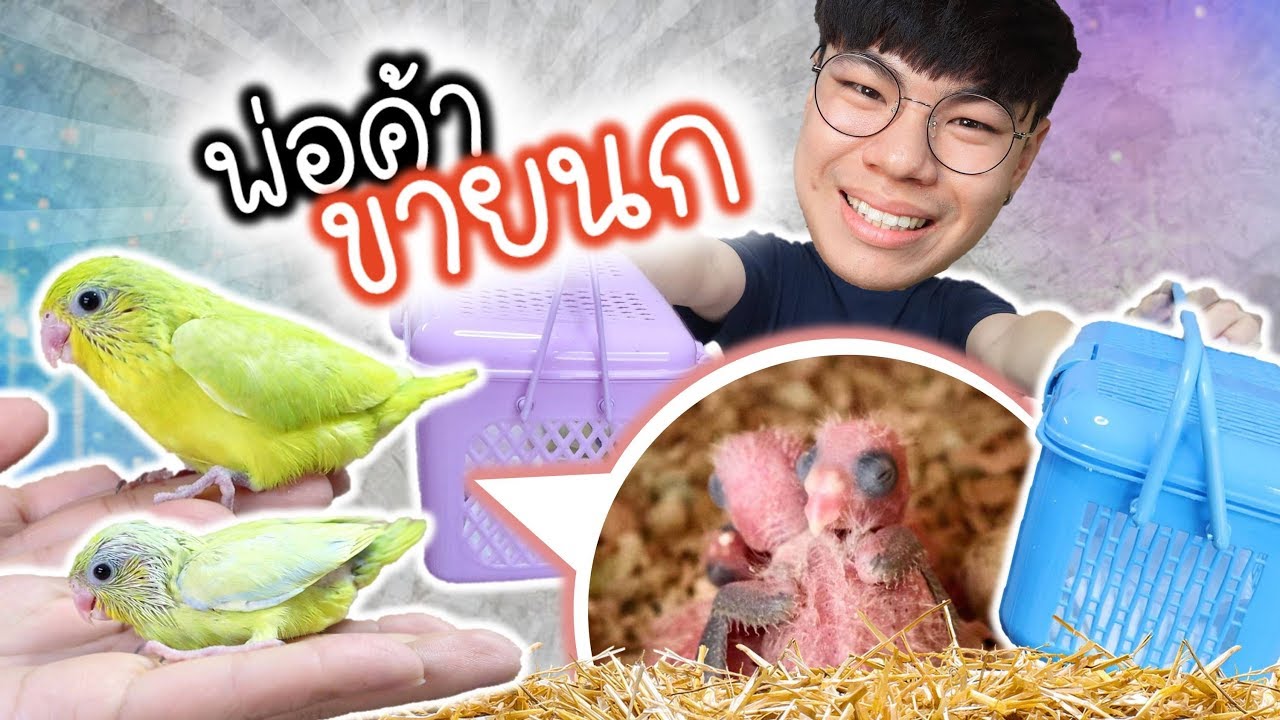 my-pet-ep-34-youtube