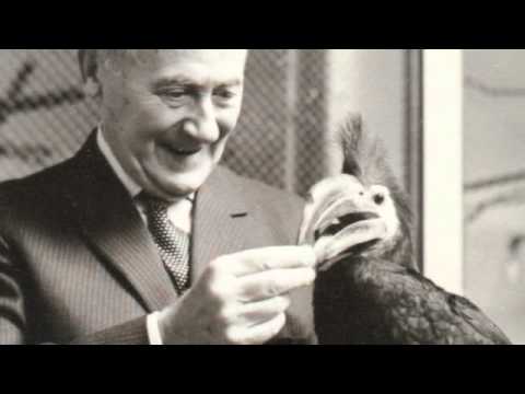 Desmond Morris on Joan Miro | TateShots Instructional Video