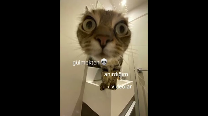 gülmekten anırdığım videolar
