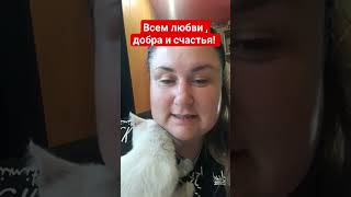 ПОМОГАЙТЕ ЖИВОТНЫМ И БУДЬТЕ СЧАСТЛИВЫ #котята #война