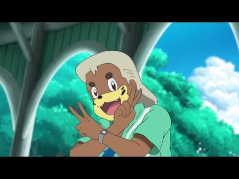 Pokémon the Series: Sun & Moon - The Guardian's Challenge!