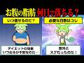 ぽっこりお腹の脂肪を落とすのに何日必要なのか？【ずんだもん】