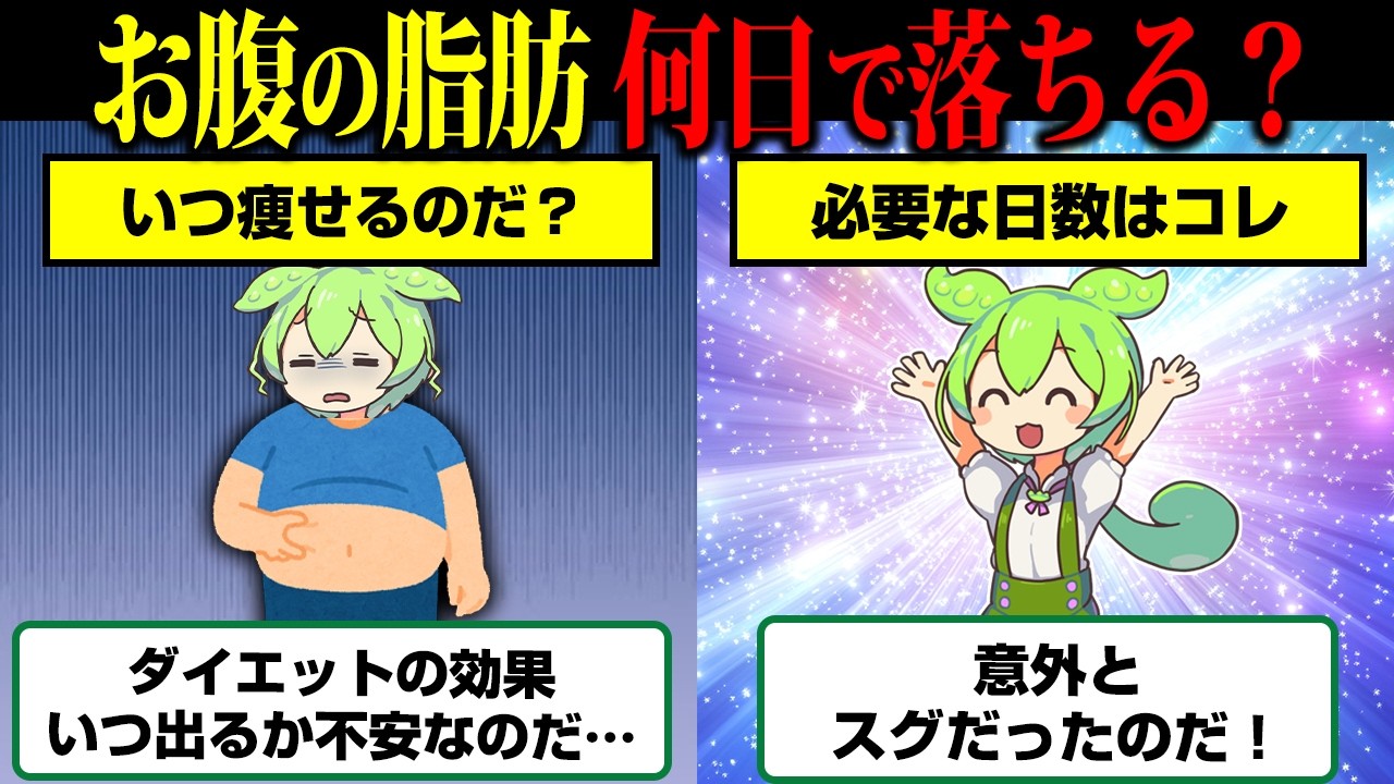 ぽっこりお腹の脂肪を落とすのに何日必要なのか？【ずんだもん】