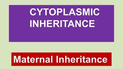 Cytoplasmic Inheritance || Maternal Inheritance || Plastid Inheritance in Mirabilis || Genetics