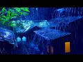 Deep Sleep Rain Sounds on Tin Roof | Peaceful Night Ambience with Frogs and Crickets