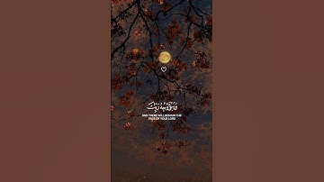 سورة الرحمن#تلاوة_خاشعة #اكسبلور