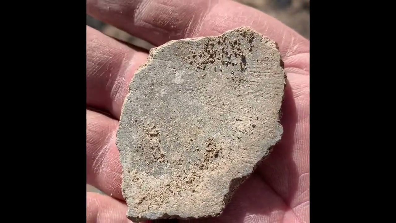 Hello went out rock and artifact hunting near the caballo mountains. Seeing all sort of wildlife.