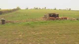 Village Forms A Co-Operative