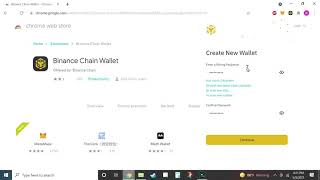 Binance cross chain network (BCS) wallet extention setup screenshot 3
