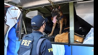 Mulher de 41 anos é presa pela PRF transportando droga em compartimento