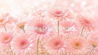 Gerbera Dream Garden 🌸✨🎀 Soft Waltz Piano & Strings | Healing BGM for Studying, Working & Relaxing screenshot 3