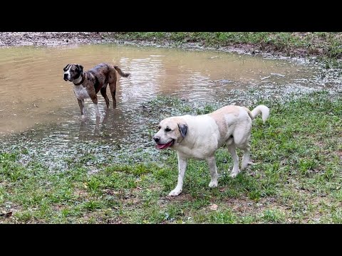 Rainy Day Means TIME TO PLAY!